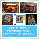 双层烤鱼箱，商用电烤鱼箱，无烟水循环电烤鱼箱图片2