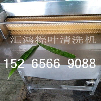 广东粽叶清洗机图片HH-1000型叶片类双面清洗加工设备厂家