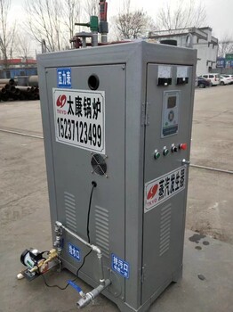 生物質(zhì)蒸汽發(fā)生器，電桿廠用蒸汽發(fā)生器