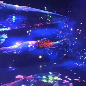 上海AR、互動(dòng)花海、萬物有光、夢(mèng)幻鯨魚島出租