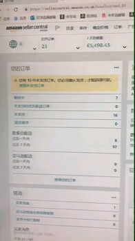 亚马逊跨境电商无货源店群创业指导，亚马逊ERP系统代理定制立部署