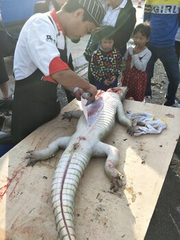 深圳烤鳄鱼上门庆功宴行业