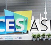 CESASIA2020,上海消费电子展览会