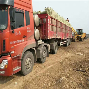 山东济南济阳县生物质燃料生产厂家大图