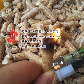 东至县生物质压块热水锅炉燃料