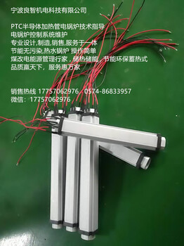 宁波良智机电科技PTC陶瓷半导体加热管加热器电锅炉HZ5283JRG