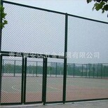 供应青岛篮球场围网安装体育场围栏网厂家足球场围栏网支持定做图片2