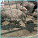 青岛浸塑荷兰网厂家供应养鸡围栏网绿色包胶铁丝网