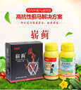 艾綠農(nóng)廠家嶄薊/高抗性薊馬/花內(nèi)薊馬/黑薊馬/黃薊馬殺蟲殺卵