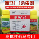 濰坊艾綠農(nóng)廠家薊馬1+1/高抗性薊馬專用/安全高效，新化合物