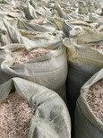 养殖肉羊豆秸粉大量供应豆秸草粉的营养图片3