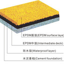 深圳幼兒園EPDM塑膠地面及彩色橡膠顆粒生產(chǎn)廠家