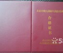 廊坊广阳幼儿园长管理园长资格证报考条件园长取证班