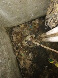 唐山海港区清理污泥池电话图片0