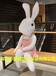 2019华丽粉色玻璃钢卡通兔子休闲椅雕塑定制厂家直销定制加工