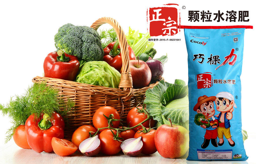 叶菜类专用生根增产肥巧棵力颗粒水溶肥40kg