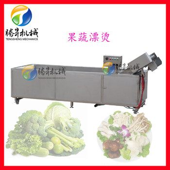 蔬菜处理设备净菜果蔬漂烫机