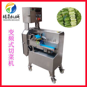 双变频设计台湾切菜机叶菜蔬菜切段切丝机
