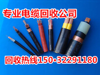 津县低压电缆回收图片0
