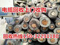 津县低压电缆回收图片4