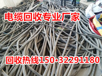 津县低压电缆回收图片1
