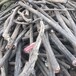 吐鲁番电缆回收~(市场分析)吐鲁番废旧电缆回收冲高回落