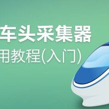 种子网种子网种子网种子网图片