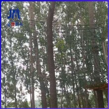 体能乐园游乐设备组合滑梯拓展训练设备图片