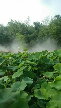 陇南小区广场用造景造雾设备凯普威