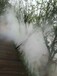 兰州水上世界用造景造雾喷雾景观设备