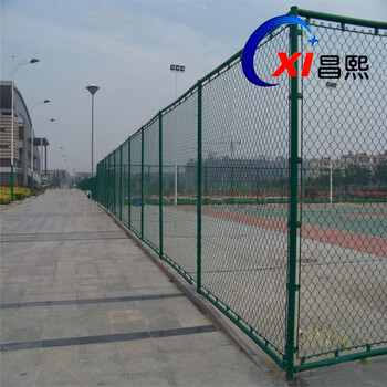 PE體育場(chǎng)圍欄網(wǎng)PVC勾花網(wǎng)護(hù)欄網(wǎng)，昌熙網(wǎng)業(yè)生產(chǎn)各種球場(chǎng)隔離網(wǎng)