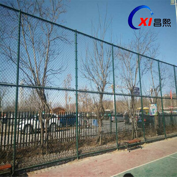 昌熙勾花護(hù)欄網(wǎng)廠/體育場(chǎng)圍網(wǎng)/球場(chǎng)護(hù)欄網(wǎng)/操場(chǎng)圍欄網(wǎng)