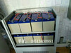 双登6-GFM-100铅酸12V100AH蓄电池UPS外接电瓶