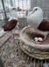 新疆喀什哪里出售鼓手鸽，仙女鸽，邮鸽。