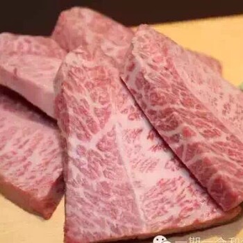 火锅牛羊肉食材西餐牛羊肉小排烧烤肉卷