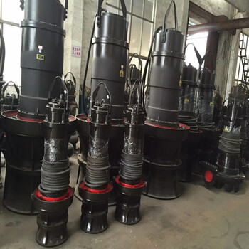 天津轴流泵泵站进水池用潜水轴流泵成套供货