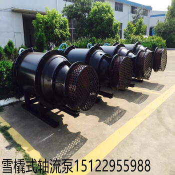 天津大功率轴流泵潜水轴流泵大排量潜水轴流泵
