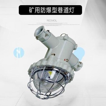 浙江創(chuàng)瑞廠家新款促銷CRX7106礦用隔爆型LED巷道燈