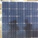 双玻单晶太阳能组件光伏板出售平价上网首选