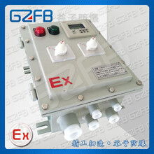 电加热式气化器-专用防爆控制箱BXM（D）-T谷子防爆