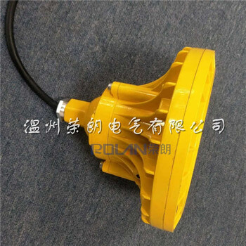 批量銷售ZL8923-30W防爆燈/LED防爆泛光燈規(guī)格