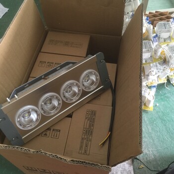 公安消防NFE9191-J12LED頂燈；高亮度三防照明燈