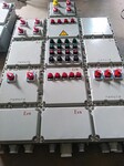 BXM8050防爆配电箱按图加工-IIC防腐照明动力配电箱