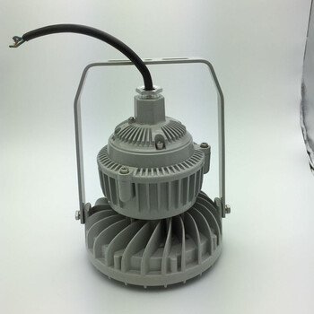 化工廠LED防爆燈60W220V