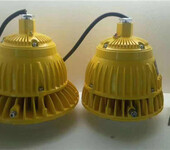 BPC8766-20W高效节能LED防爆平台灯