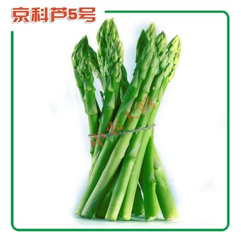 蘆筍種子哪里買高產(chǎn)蘆筍種子蘆筍種子價格北京中農(nóng)天騰種業(yè)全國經(jīng)銷