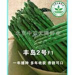 芦笋怎么种植芦笋种子价格高产芦笋种子北京中农天腾种业全国经销
