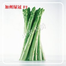 加州绿冠芦笋种子多少钱一斤,国际优质绿白兼用芦笋新品种,北京中农天腾种业全国经销图片