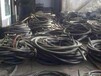 广州萝岗废电缆回收