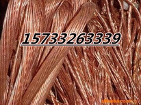 汉川电缆回收市场价格图片0